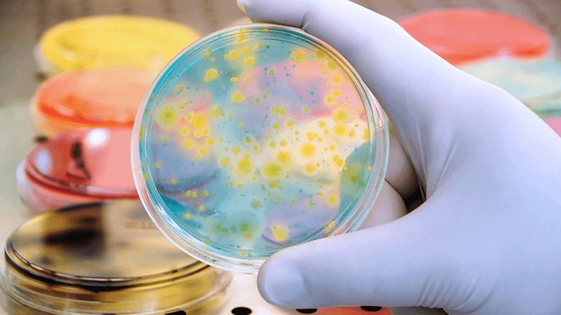 生物制品质量控制参数检测设备主要分为以下几类：