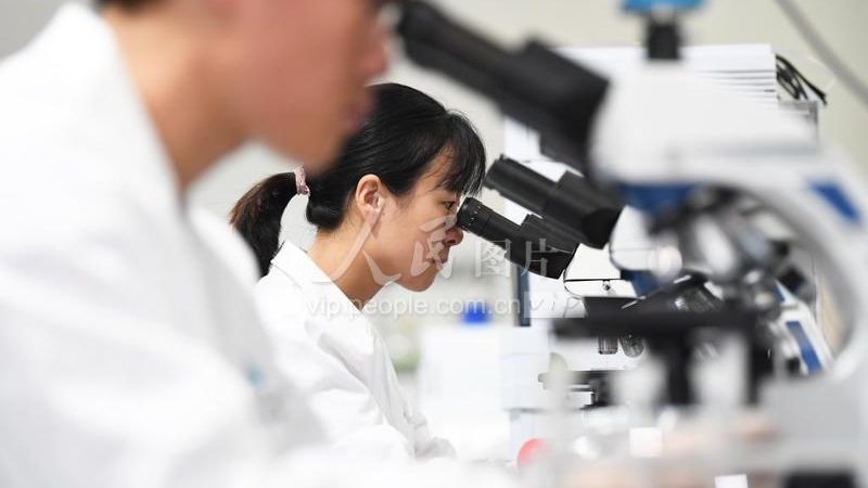 预防性生物制品注册申报流程：关键步骤与要点解析