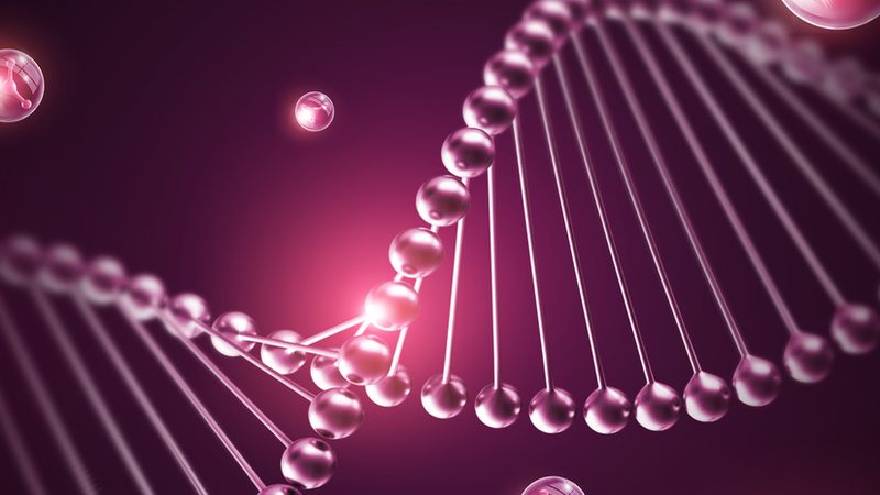 北京分子生物学试剂配送，如何快速高效？**