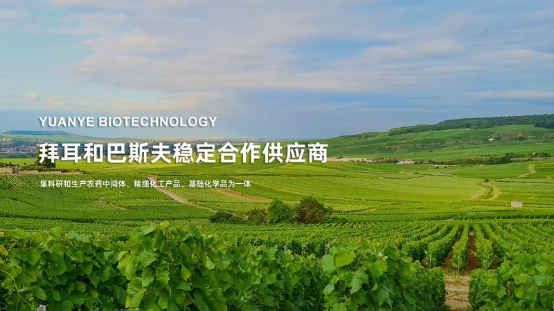 资质认证如何影响基因测序定制化服务的可信度
