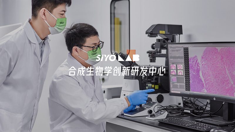 细胞培养基配方定制，揭秘成都公司的核心优势