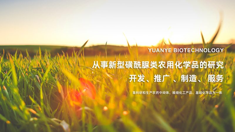 实验室低温离心管：如何挑选合适的“伙伴”**
