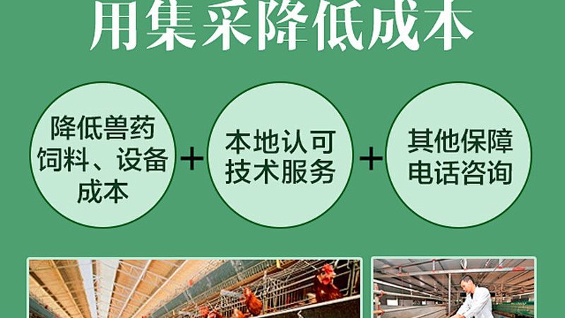 深圳生物科技公司注册全流程详解
