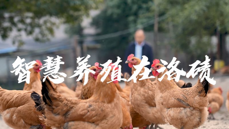 基因检测与基因筛查：标准规范下的精准医疗探索