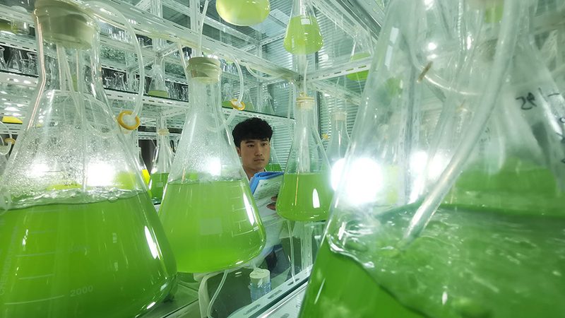 PCR检测价格差异背后的真相